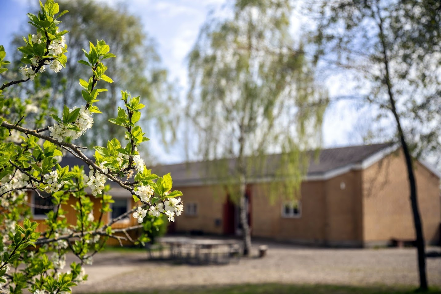 Aalborg Steinerskole