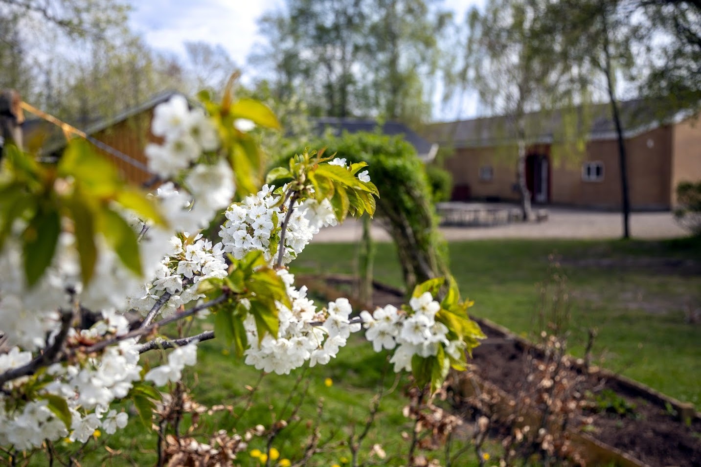 Aalborg Steinerskole